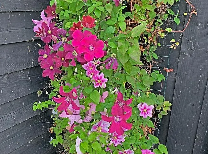 شقة Christinahoeve Logies Oude Deel Boskoop